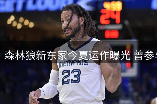 森林狼新东家今夏运作曝光 曾参与招募詹姆斯计划